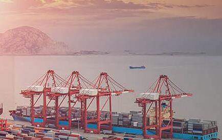 與清關報關代理機構合作的流程